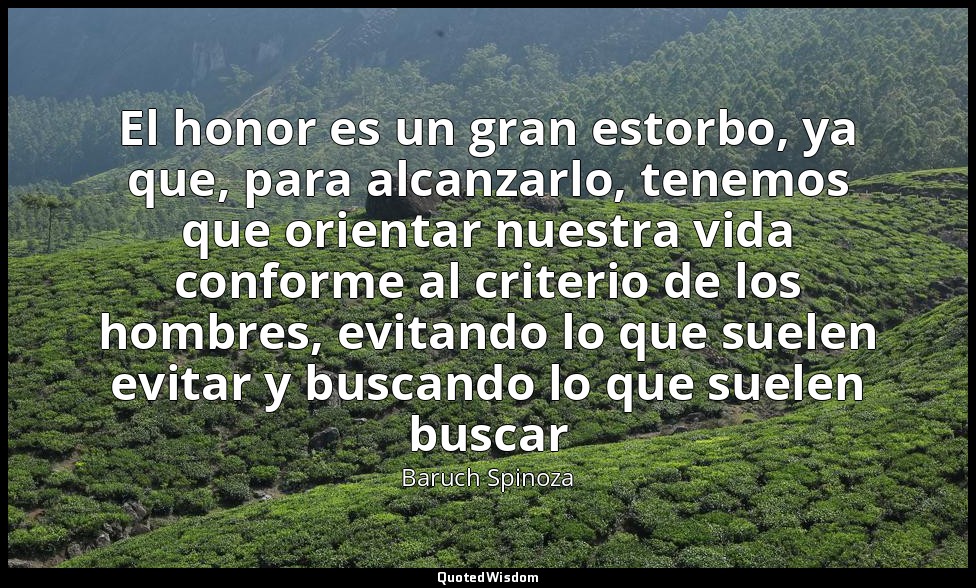 El honor es un gran estorbo, ya que, para alcanzarlo, tenemos que orientar nuest — Baruch Spinoza