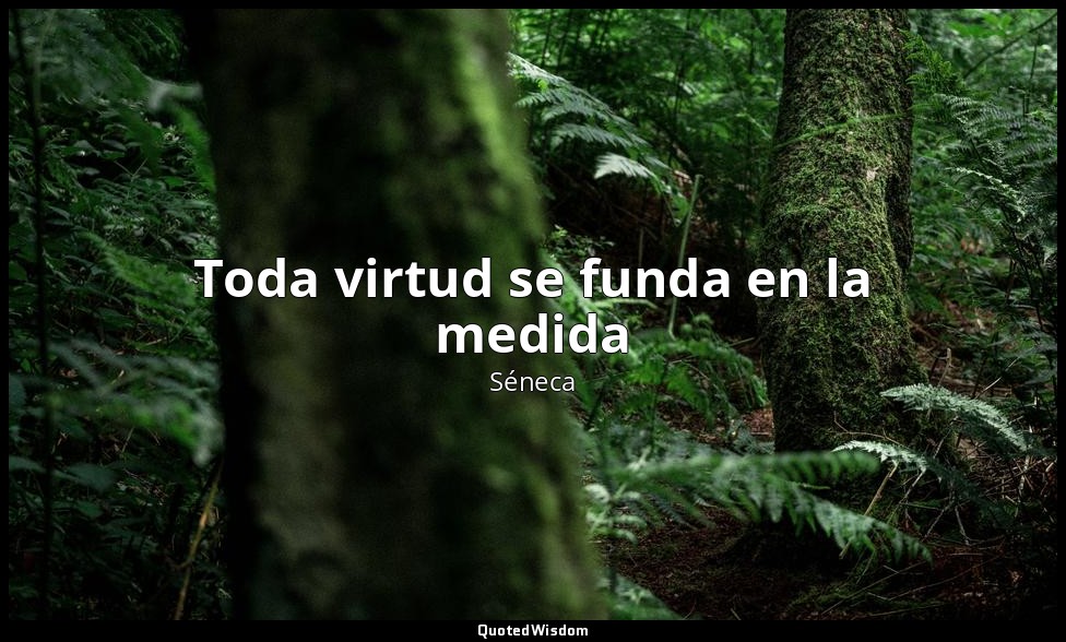 Toda virtud se funda en la medida — Séneca