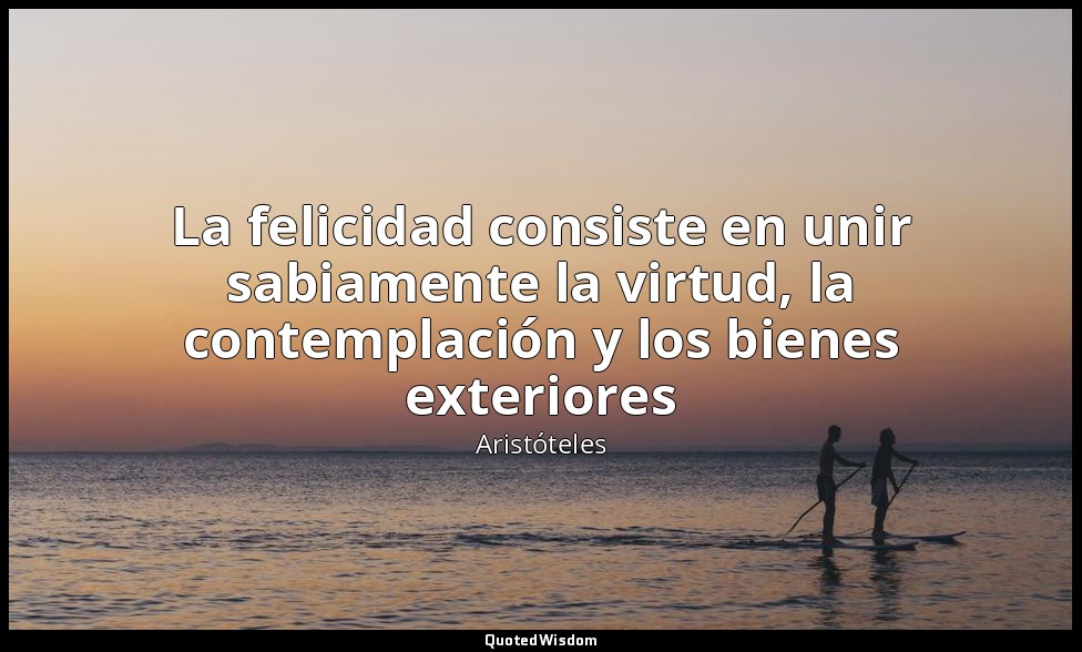 La felicidad consiste en unir sabiamente la virtud, la contemplación y los biene — Aristóteles