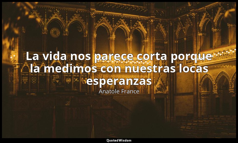 La vida nos parece corta porque la medimos con nuestras locas esperanzas — Anatole France