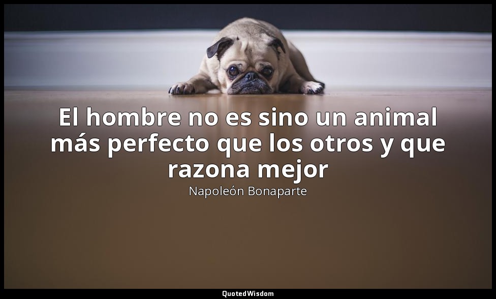 El hombre no es sino un animal más perfecto que los otros y que razona mejor — Napoleón Bonaparte