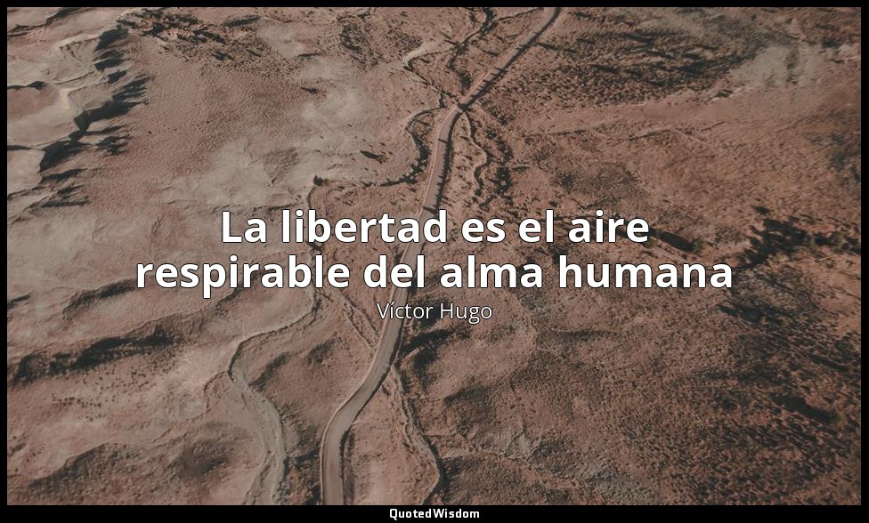 La libertad es el aire respirable del alma humana — Víctor Hugo