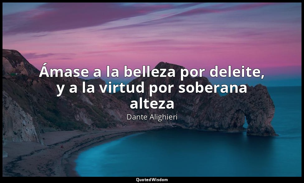 Ámase a la belleza por deleite, y a la virtud por soberana alteza — Dante Alighieri