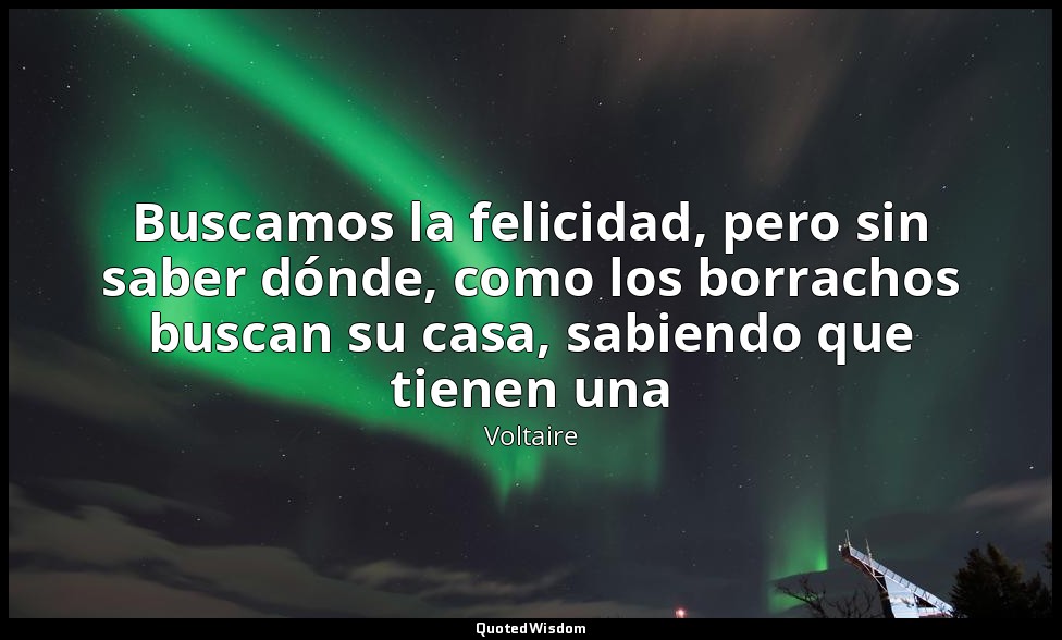 Buscamos la felicidad, pero sin saber dónde, como los borrachos buscan su casa,  — Voltaire