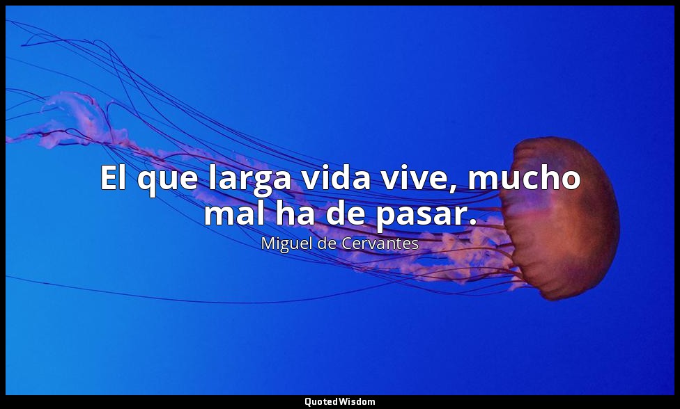 El que larga vida vive, mucho mal ha de pasar. — Miguel de Cervantes