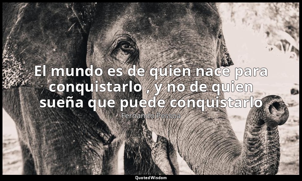 El mundo es de quien nace para conquistarlo , y no de quien sueña que puede conq — Fernando Pessoa