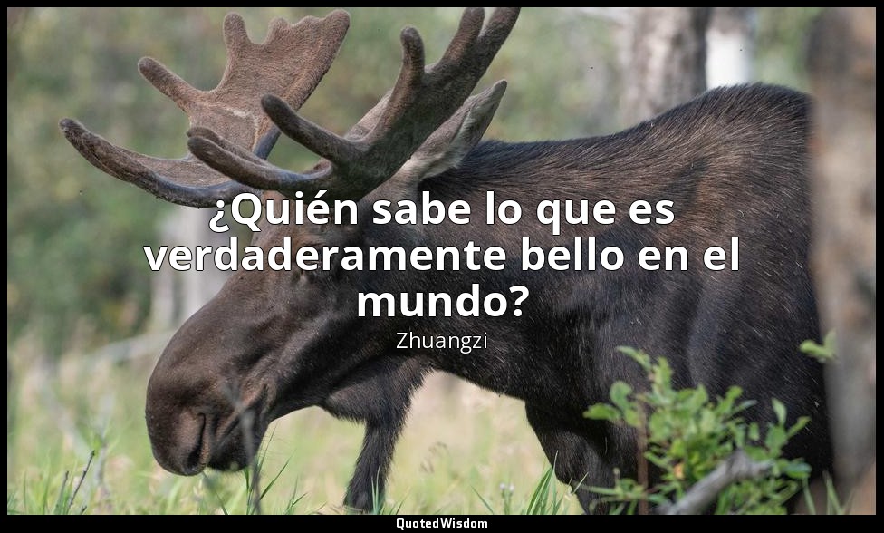 ¿Quién sabe lo que es verdaderamente bello en el mundo? — Zhuangzi