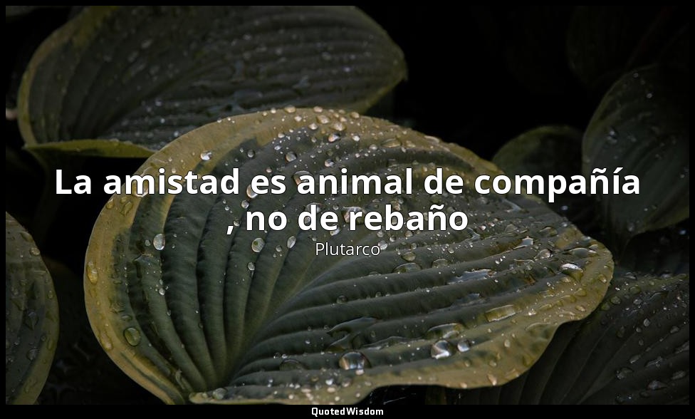La amistad es animal de compañía , no de rebaño — Plutarco