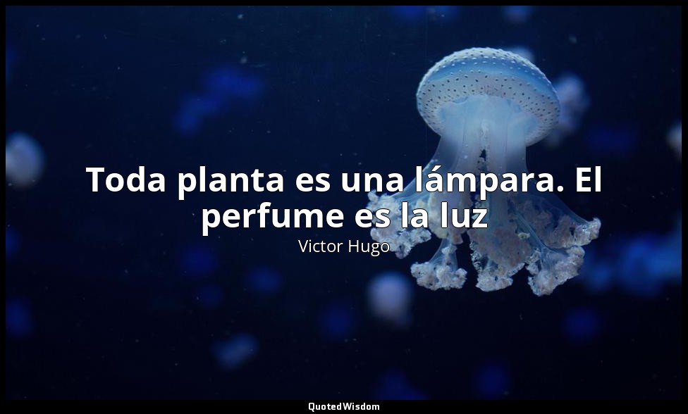 Toda planta es una lámpara. El perfume es la luz — Victor Hugo