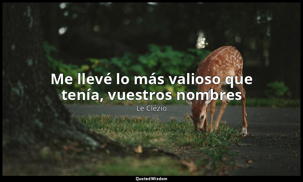 Me llevé lo más valioso que tenía, vuestros nombres — Le Clézio