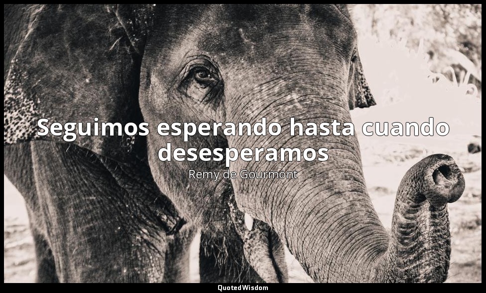 Seguimos esperando hasta cuando desesperamos — Remy de Gourmont