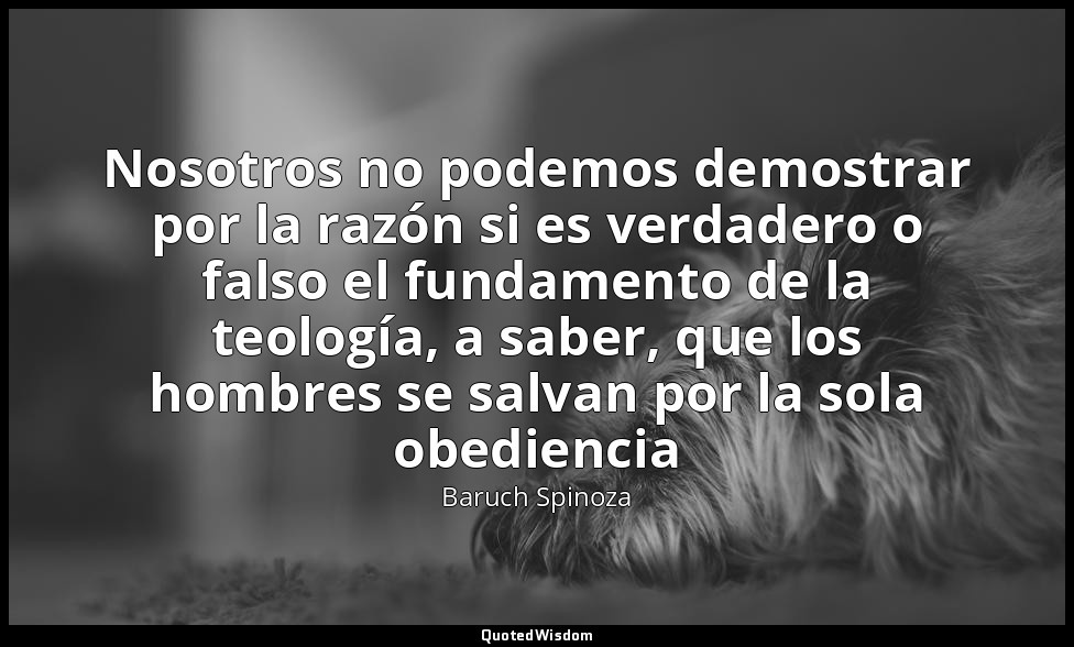 Nosotros no podemos demostrar por la razón si es verdadero o falso el fundamento — Baruch Spinoza
