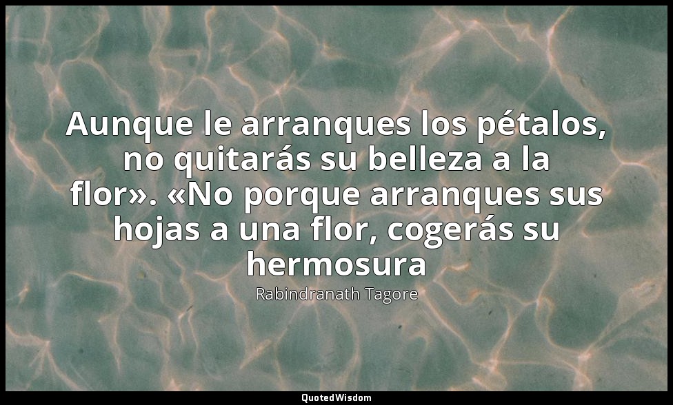 Aunque le arranques los pétalos, no quitarás su belleza a la flor». «No porque a — Rabindranath Tagore