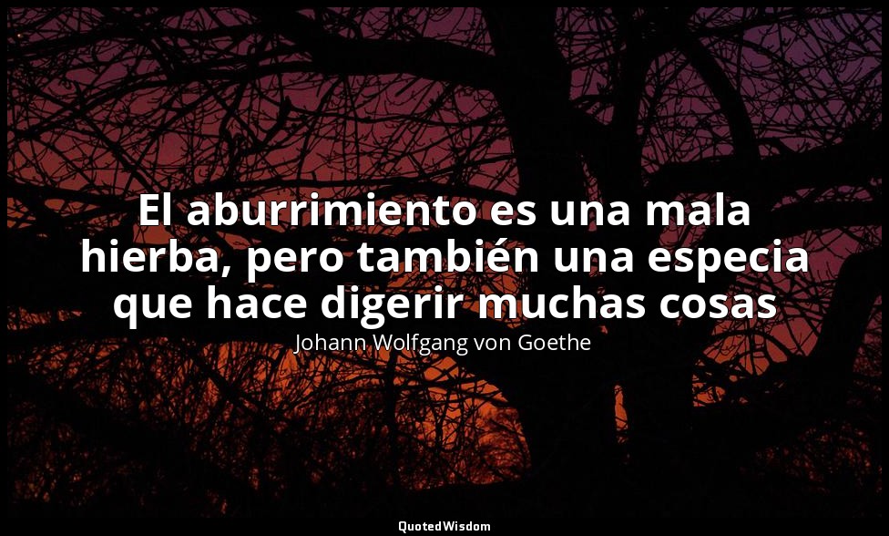 El aburrimiento es una mala hierba, pero también una especia que hace digerir mu — Johann Wolfgang von Goethe