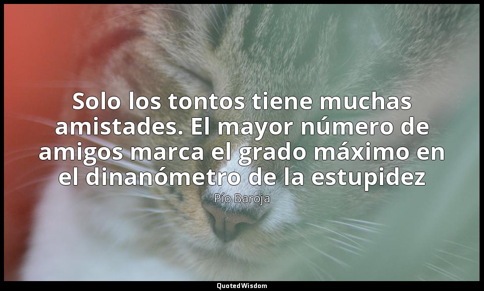 Solo los tontos tiene muchas amistades. El mayor número de amigos marca el grado — Pío Baroja