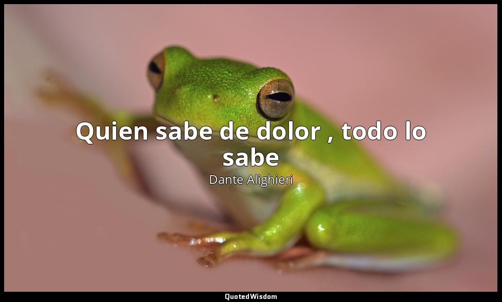 Quien sabe de dolor , todo lo sabe — Dante Alighieri