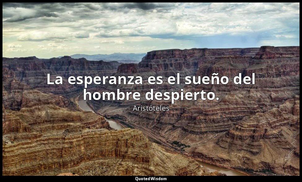 La esperanza es el sueño del hombre despierto. — Aristóteles