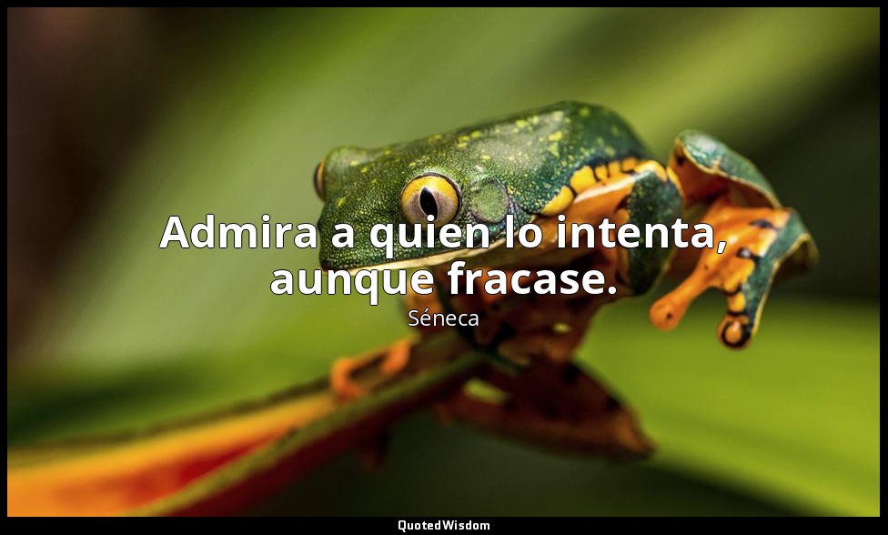 Admira a quien lo intenta, aunque fracase. — Séneca