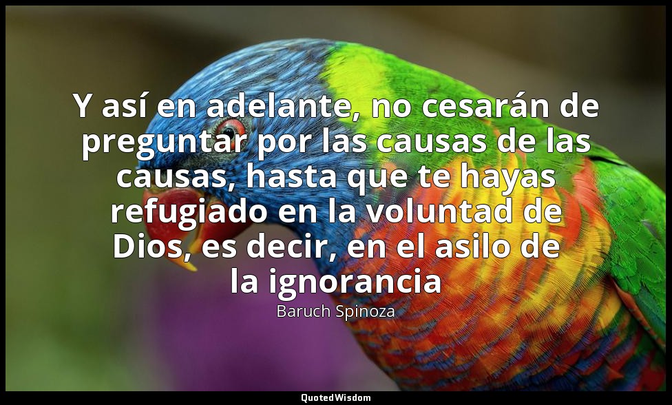 Y así en adelante, no cesarán de preguntar por las causas de las causas, hasta q — Baruch Spinoza