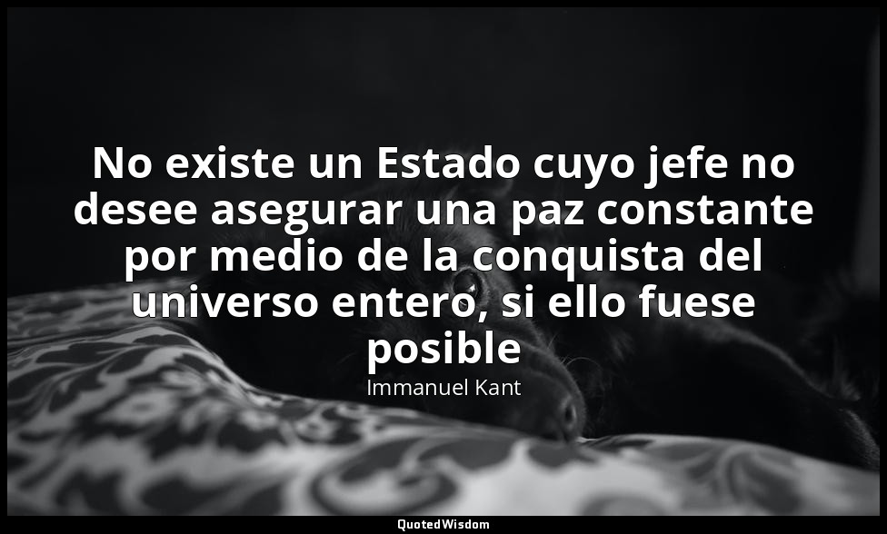 No existe un Estado cuyo jefe no desee asegurar una paz constante por medio de l — Immanuel Kant