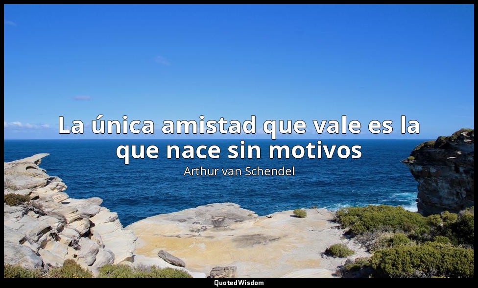 La única amistad que vale es la que nace sin motivos — Arthur van Schendel