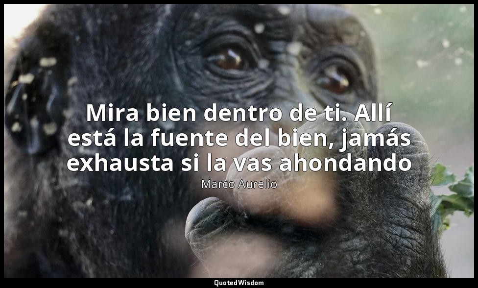 Mira bien dentro de ti. Allí está la fuente del bien, jamás exhausta si la vas a — Marco Aurelio