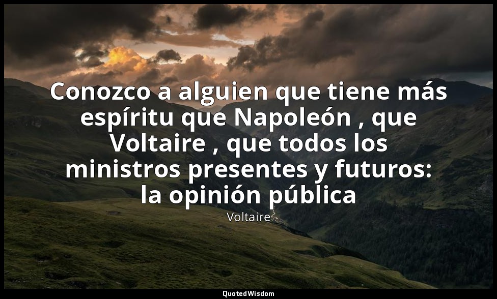 Conozco a alguien que tiene más espíritu que Napoleón , que Voltaire , que todos — Voltaire