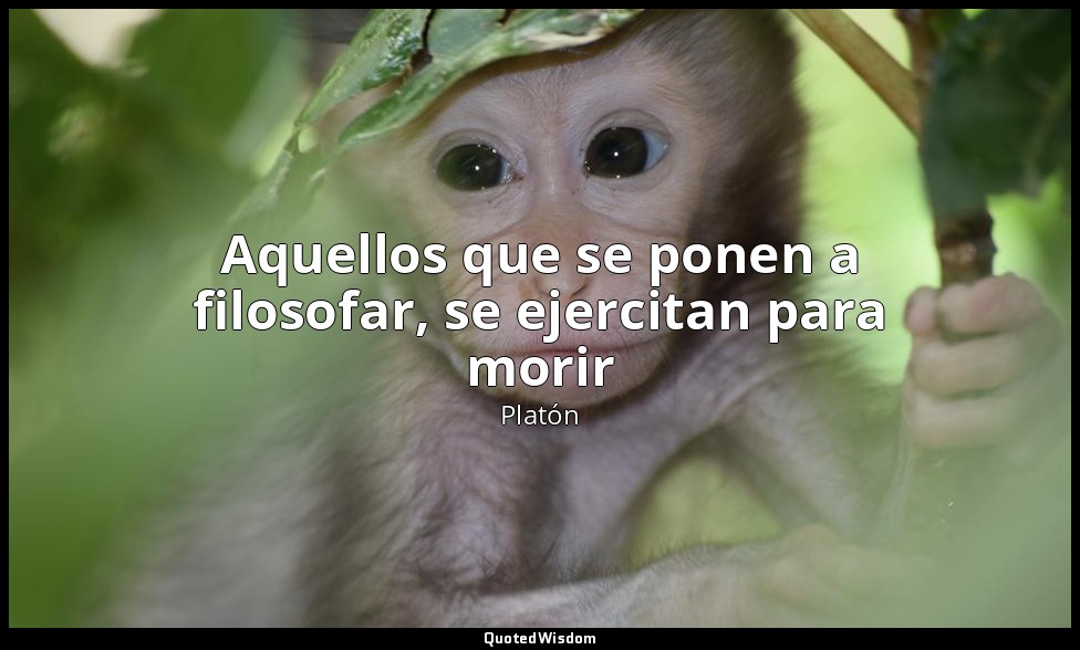 Aquellos que se ponen a filosofar, se ejercitan para morir — Platón