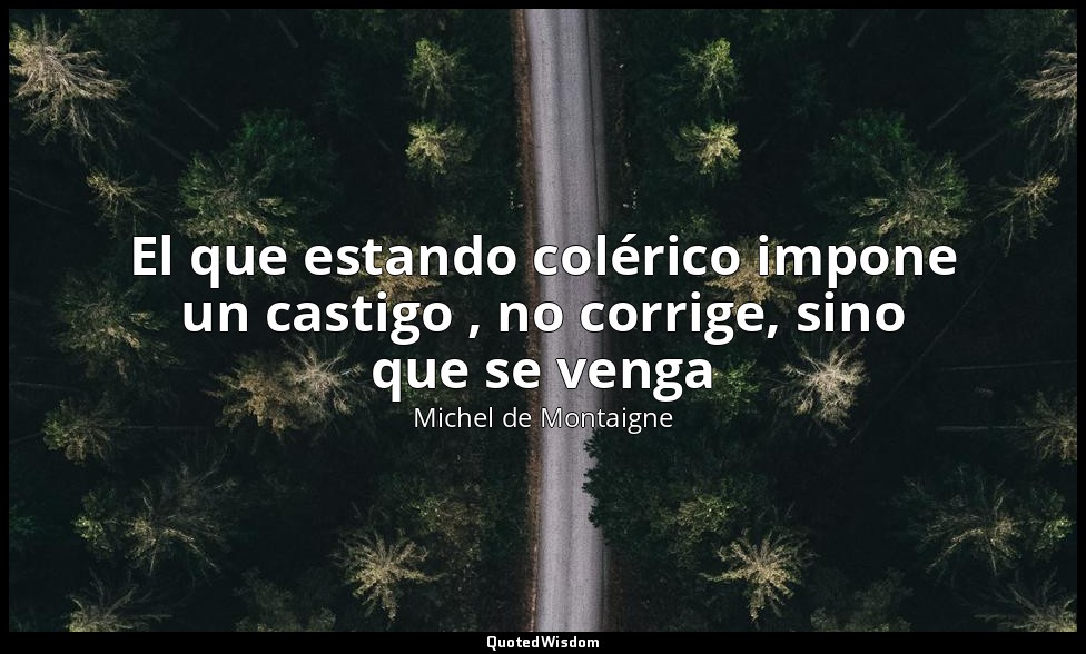 El que estando colérico impone un castigo , no corrige, sino que se venga — Michel de Montaigne