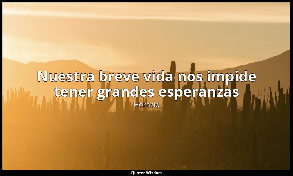 Nuestra breve vida nos impide tener grandes esperanzas — Horacio
