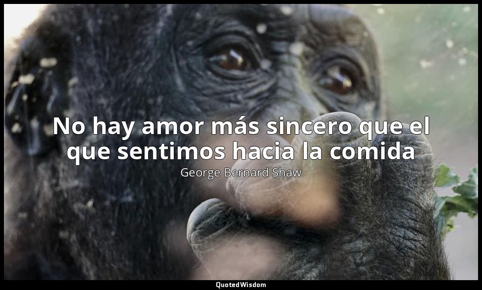 No hay amor más sincero que el que sentimos hacia la comida — George Bernard Shaw