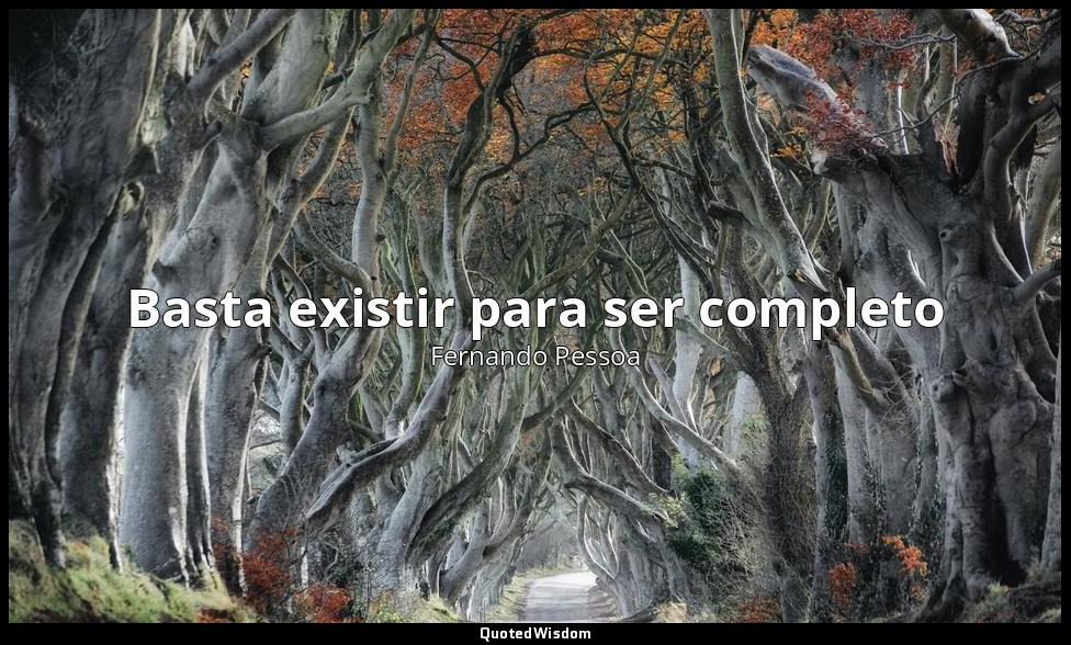 Basta existir para ser completo — Fernando Pessoa