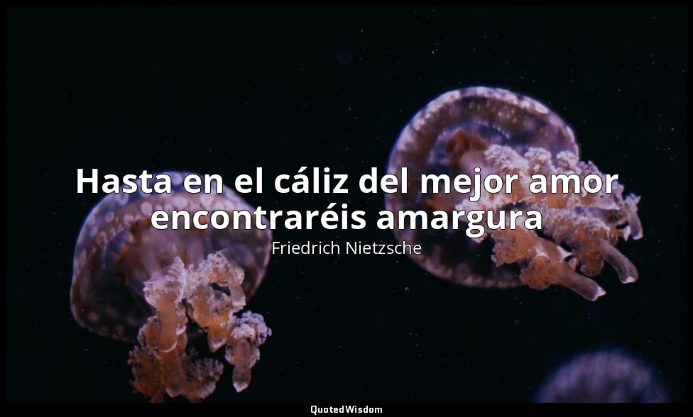 Hasta en el cáliz del mejor amor encontraréis amargura — Friedrich Nietzsche