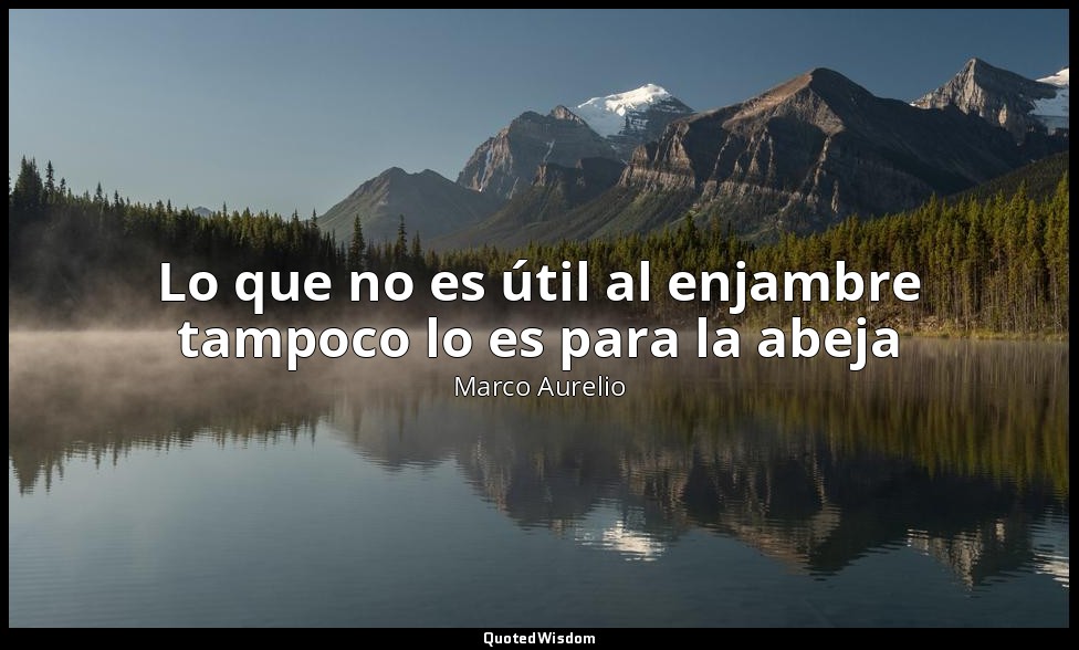 Lo que no es útil al enjambre tampoco lo es para la abeja — Marco Aurelio