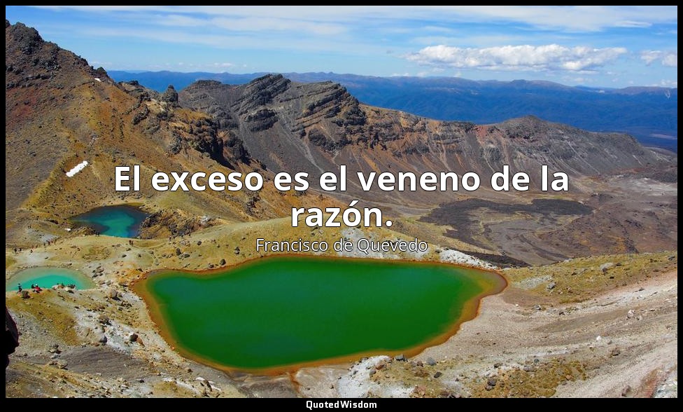 El exceso es el veneno de la razón. — Francisco de Quevedo