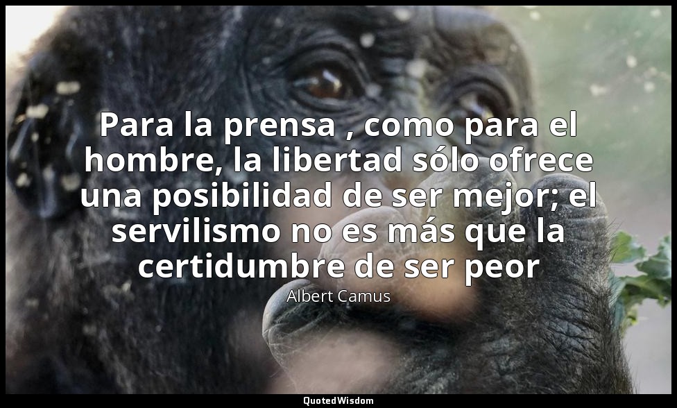 Para la prensa , como para el hombre, la libertad sólo ofrece una posibilidad de — Albert Camus