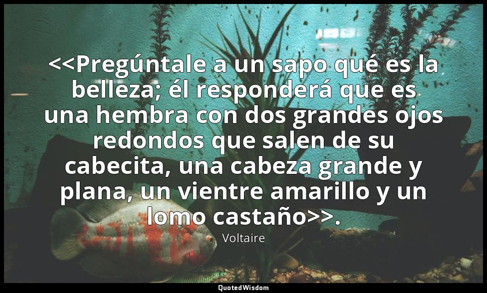 Pregúntale a un sapo qué es la belleza; él responderá que es una hembra con dos  — Voltaire