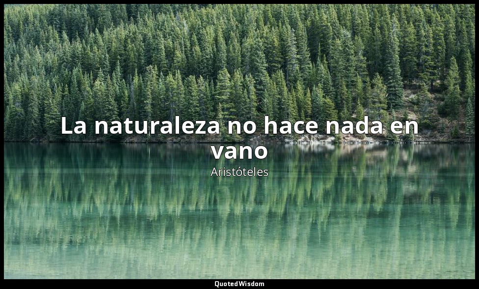 La naturaleza no hace nada en vano — Aristóteles