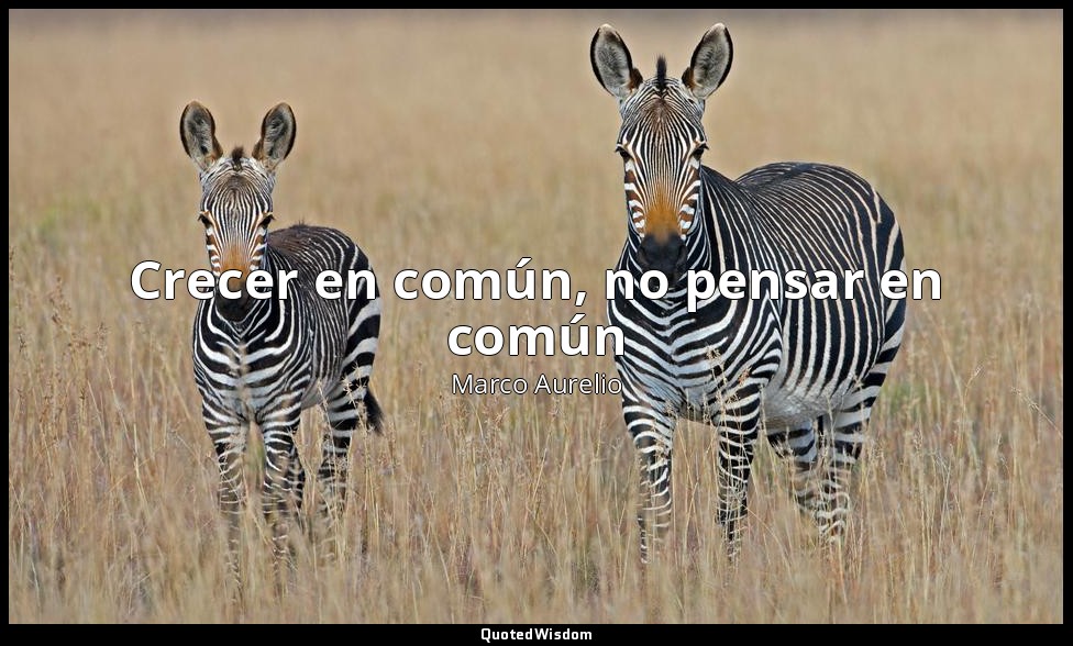 Crecer en común, no pensar en común — Marco Aurelio