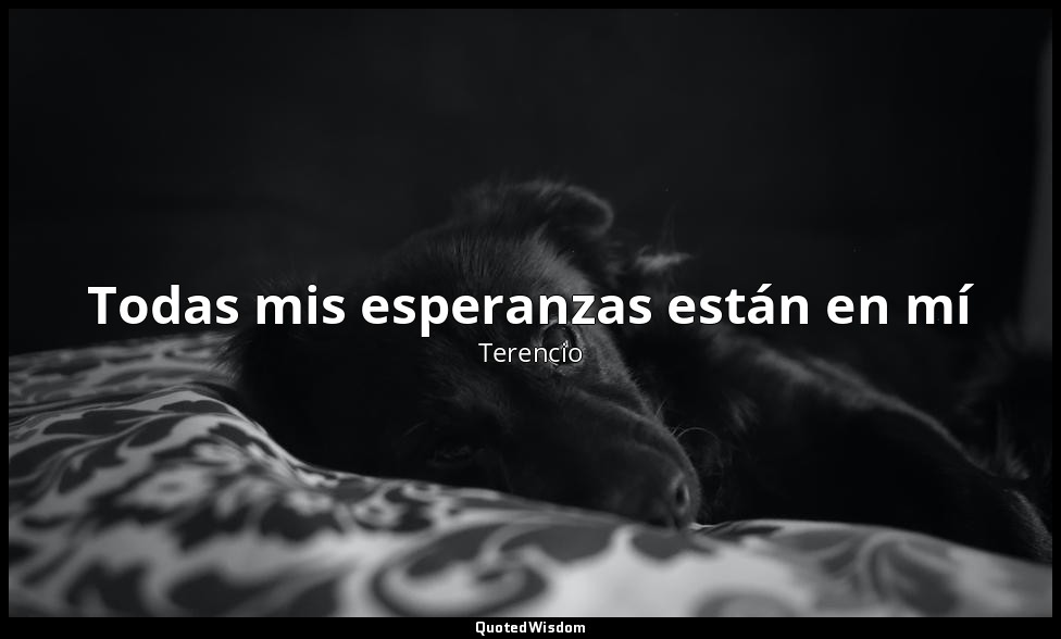 Todas mis esperanzas están en mí — Terencio