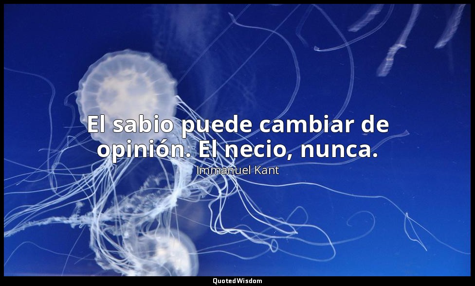 El sabio puede cambiar de opinión. El necio, nunca. — Immanuel Kant