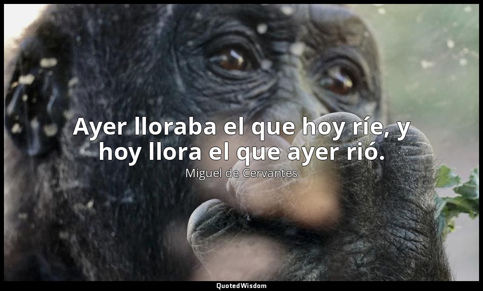Ayer lloraba el que hoy ríe, y hoy llora el que ayer rió. — Miguel de Cervantes