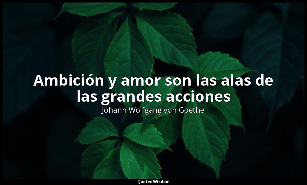 Ambición y amor son las alas de las grandes acciones — Johann Wolfgang von Goethe
