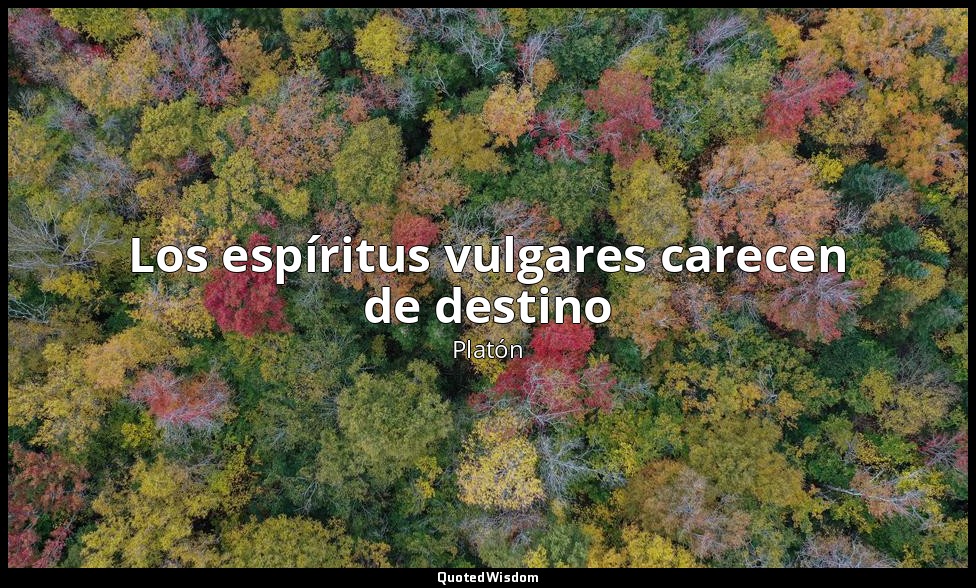 Los espíritus vulgares carecen de destino — Platón