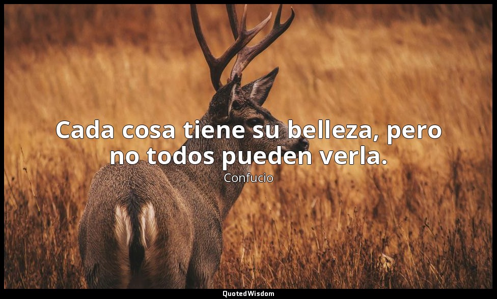 Cada cosa tiene su belleza, pero no todos pueden verla. — Confucio