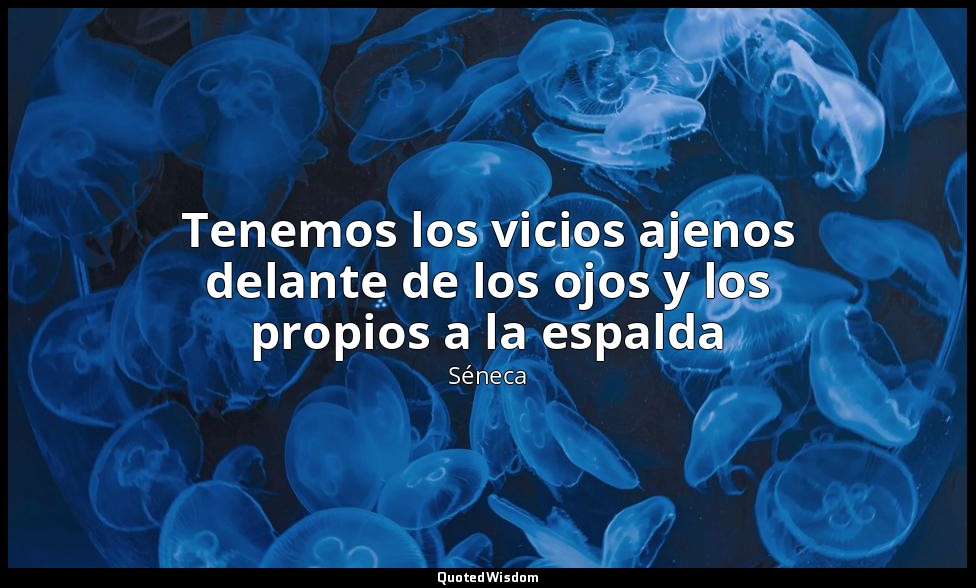 Tenemos los vicios ajenos delante de los ojos y los propios a la espalda — Séneca