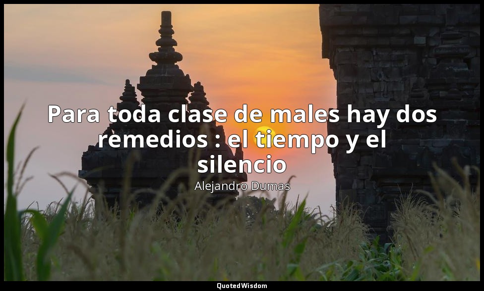 Para toda clase de males hay dos remedios : el tiempo y el silencio — Alejandro Dumas