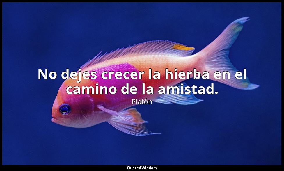 No dejes crecer la hierba en el camino de la amistad. — Platón