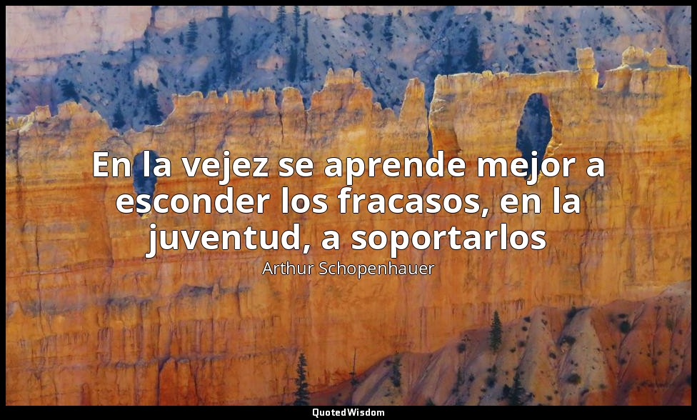 En la vejez se aprende mejor a esconder los fracasos, en la juventud, a soportar — Arthur Schopenhauer