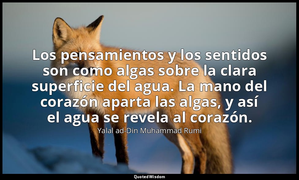 Los pensamientos y los sentidos son como algas sobre la clara superficie del agu — Yalal ad-Din Muhammad Rumi